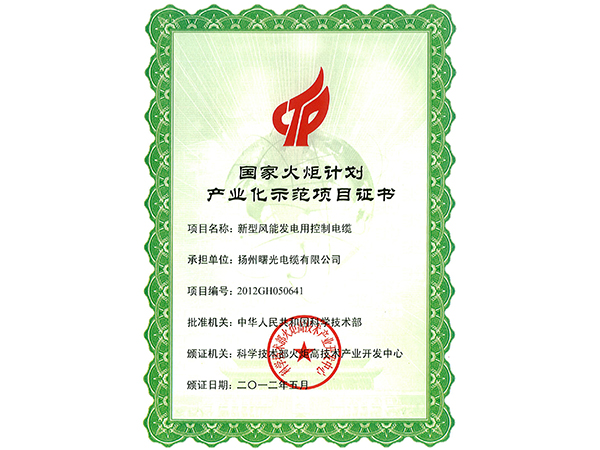 2012 new style wind power generation control cable International torch plan industrialization pilot project certificate