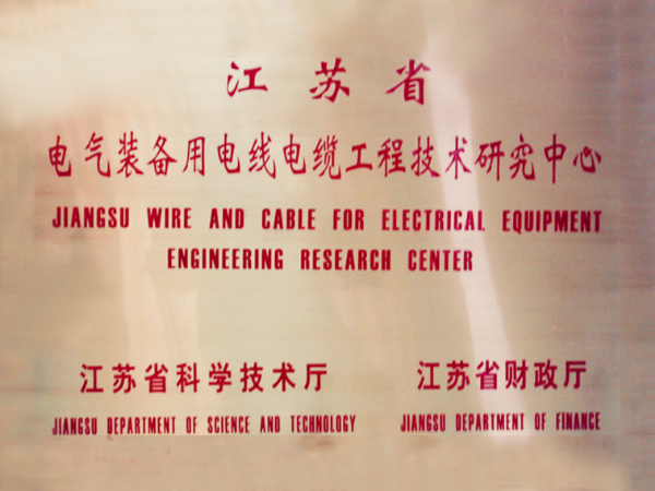 Jiangsu Province electrical equipment electric wire engineering and technological research center