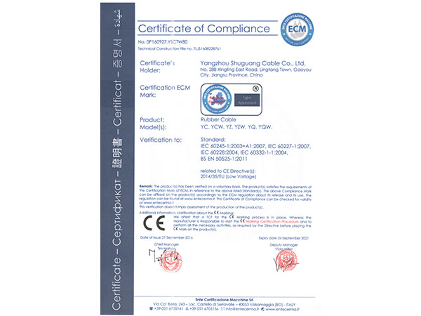 European Union CE certificate