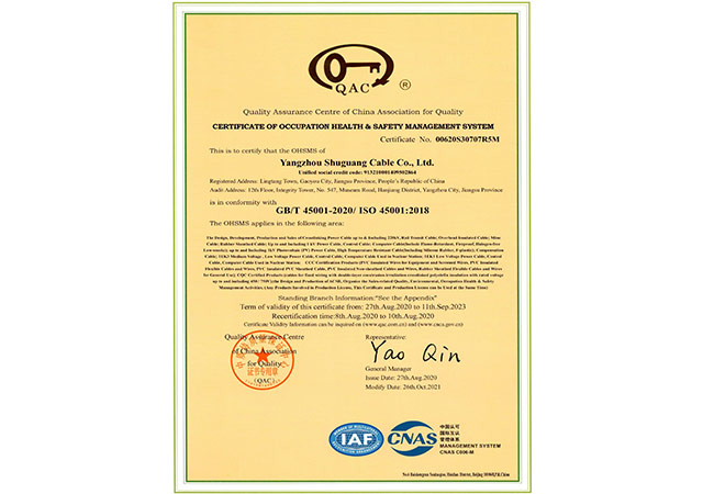 Occupation health Safety Management System Certificate
